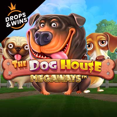 The Dog House Megaways slot cover